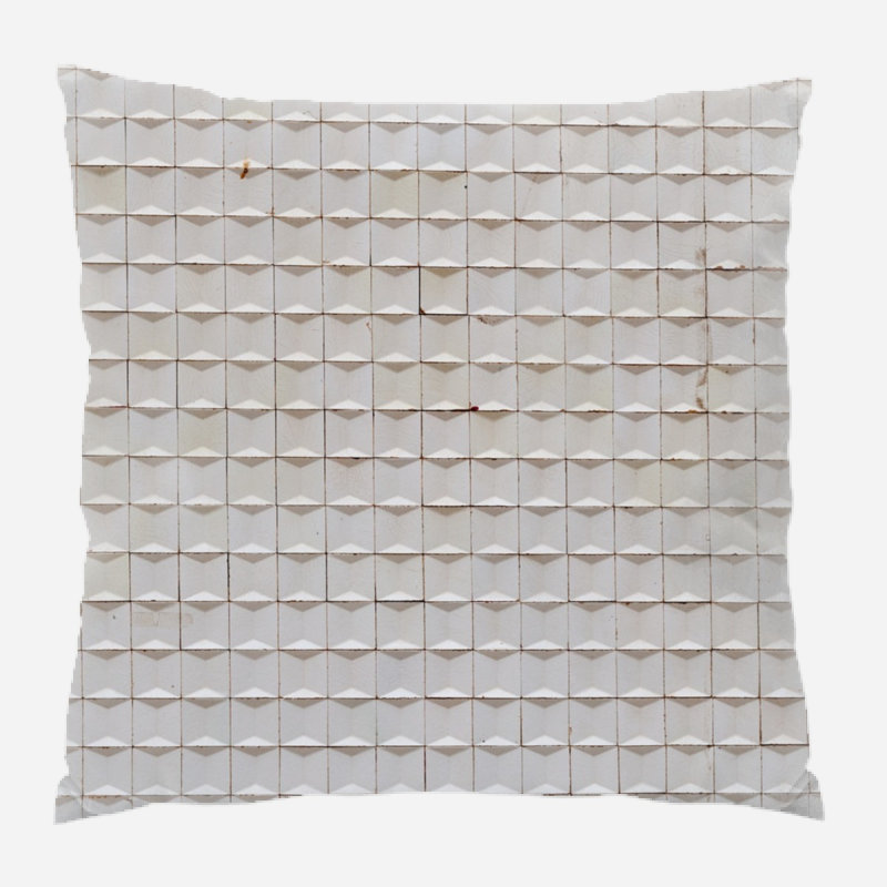 Coussin décoratif Wall