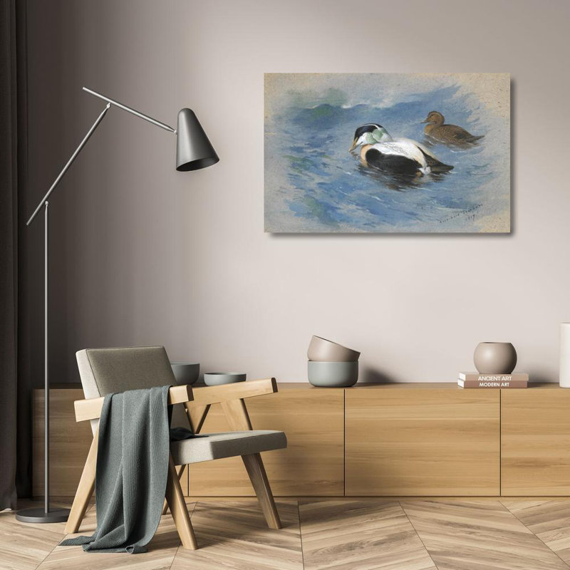 «A pair of Eider Ducks» par Archibald Thorburn - Art mural sur toile tendue avec châssis, H 17 po x l 24 po