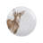 Wrendale Designs - Assorted Coupe Side Plates