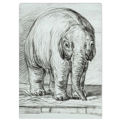 Tempered Glass Baby Elephant Chopping Board