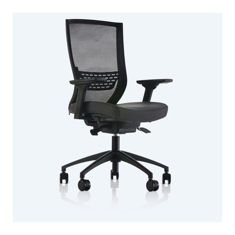 Melene Polyester Task Chair with Headrest, Anthracite
