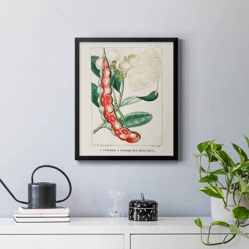 Toile encadrée Turpin Tropical Botanicals, H 24 po x l 20 po, Noir