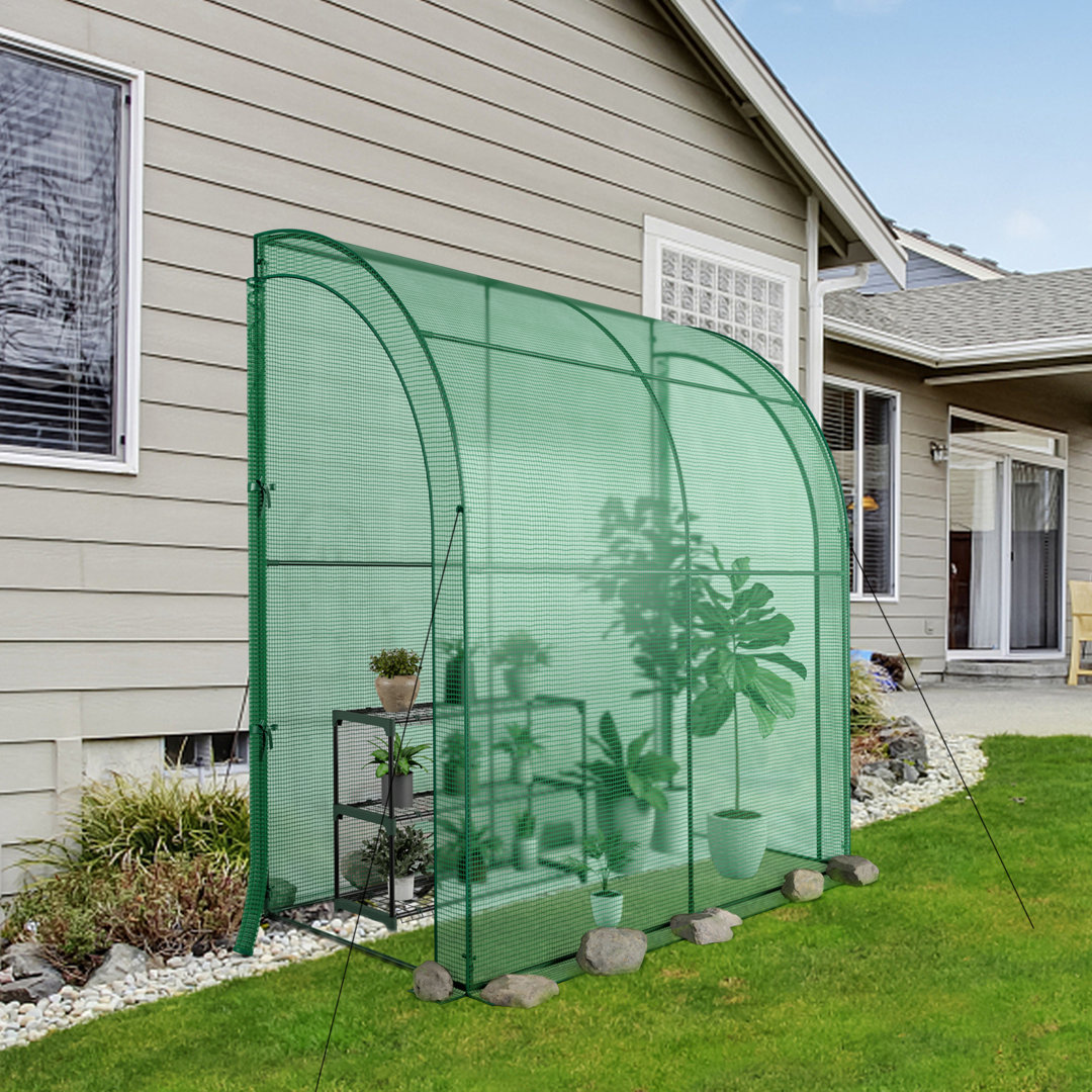 Arjav 3.3 Ft W x 6.6 Ft D Lean-To Greenhouse