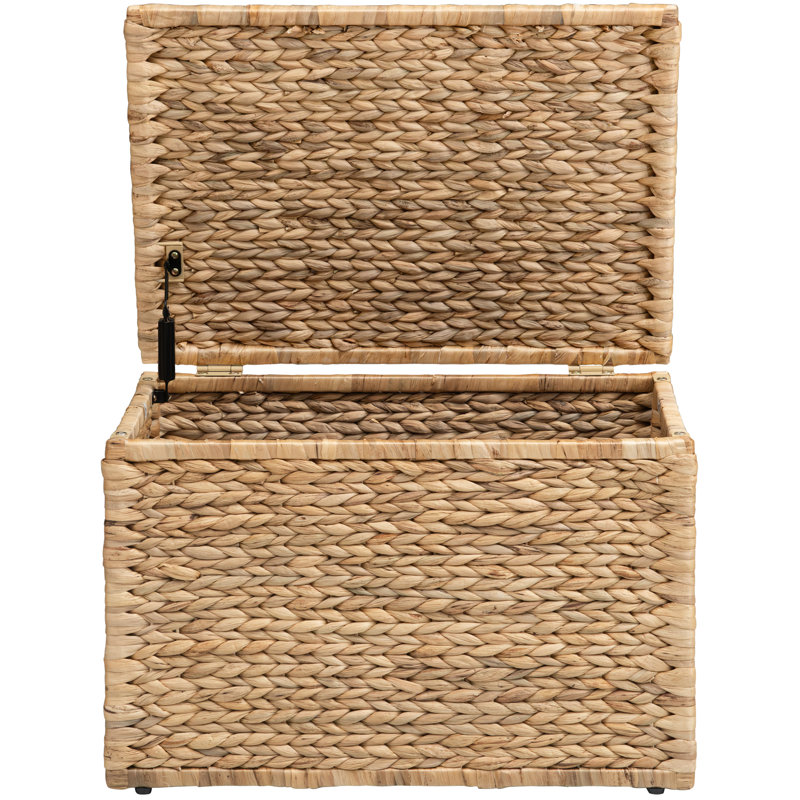 Coffre de rangement robuste en osier de jacinthe d'eau avec charnière de sécurité et structure en métal Ved H 15,2 po x l 23,3 po x P 16,5 po, naturel