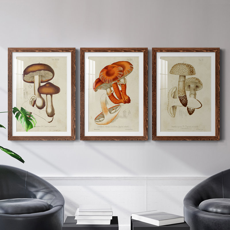 Champignon Variétés VI encadré mat - prêt à accrocher, H 43,5 po x l 31,5 po x P 1 po, Érable