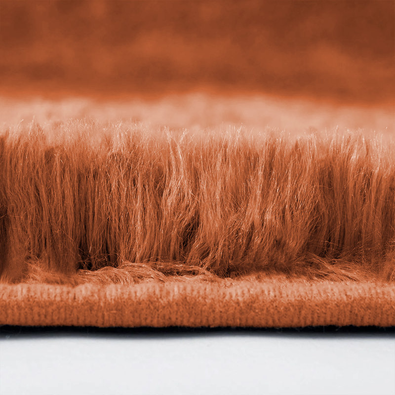 Machine Tufted Shag Area Rug, Runner 80 x 300cm