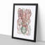 Cuttlefish by George Shaw - Framed Print-55491221-55491224