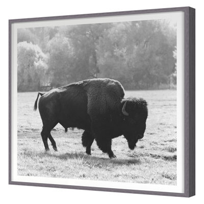 «Bison Fall» par Chris Dunker - impression d'un cadre photo sur papier