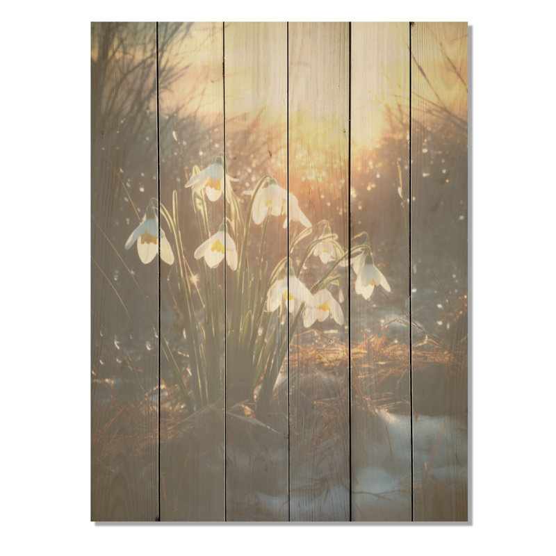 «Green Snowdrops», coucher de soleil d'hiver - «Snowdrops», art sur bois de pin naturel, H 20 po x l 10 po