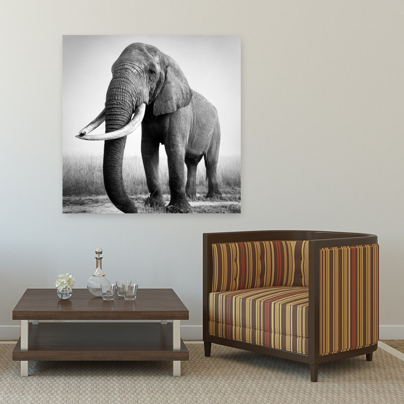 Art mural contemporain majestueux éléphant d'Afrique, 48" H x 48" W