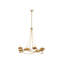 Cyrene 8 - Light Chandelier