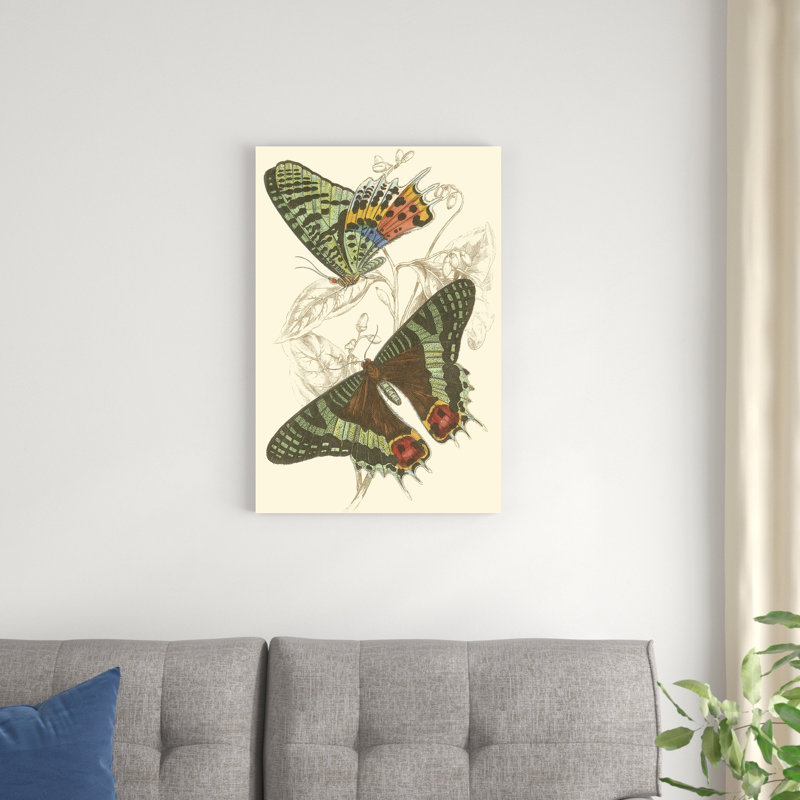 Jardine Butterflies IV, H 30 po x l 20 po x P 1 po