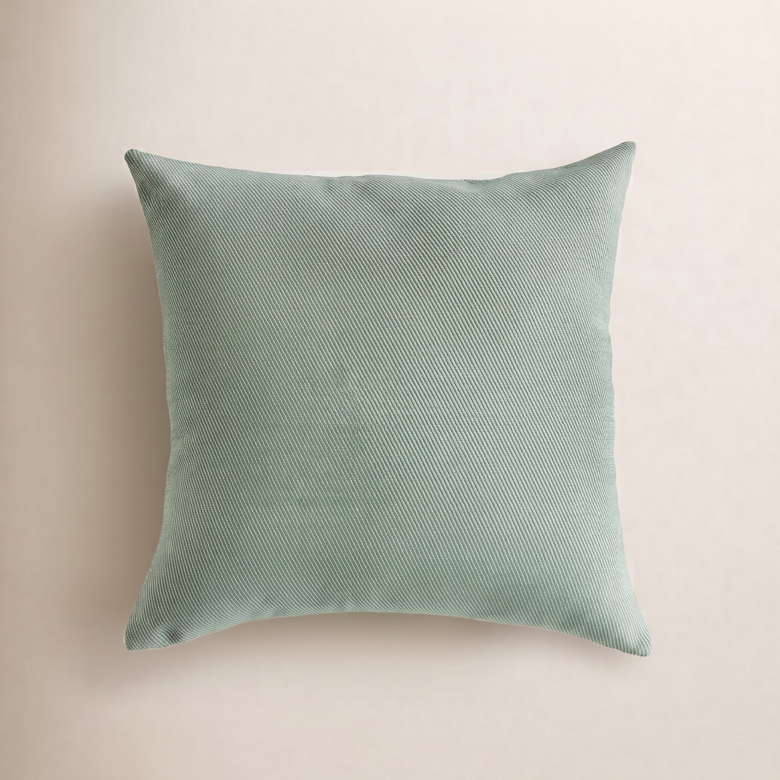 Florus 20" x 20" Throw Pillow