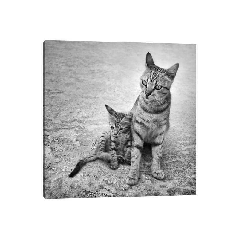 Never Leave Me Alone by Ben Heine - Print on Canvas, 45.72 cm H x 45.72 cm W x 1.91 cm D, Wrapped Canvas