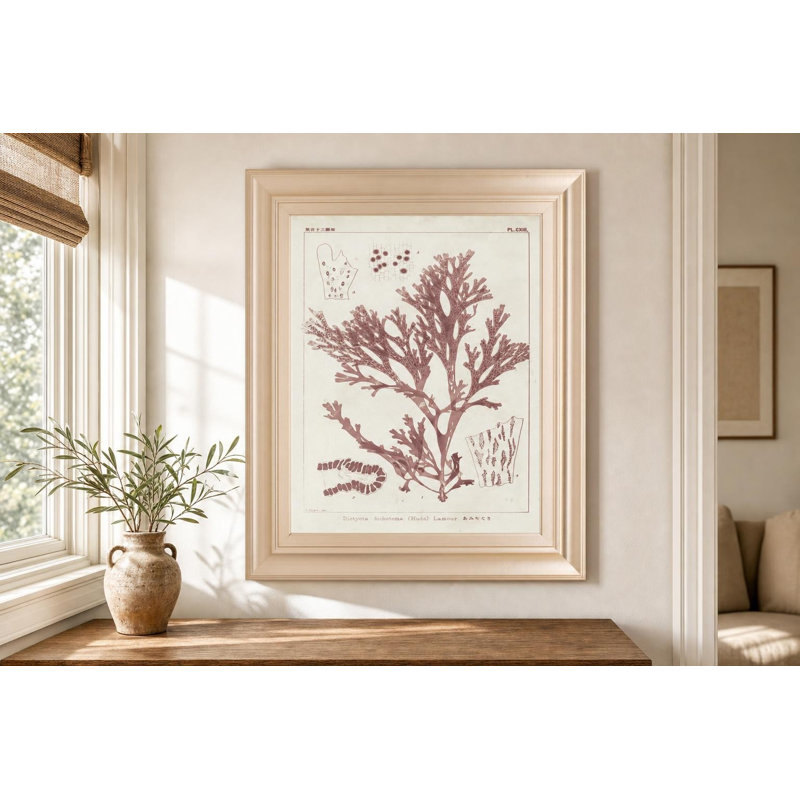 Art mural rétro - Coral Study - 22 "x 26" - cadre doré
