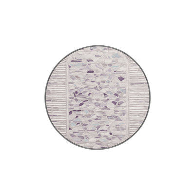 Machine Washable Gray Area Rug