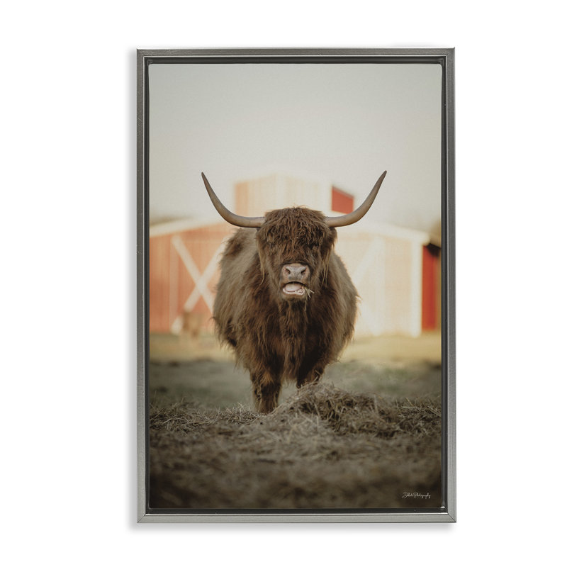 Bétail sur une ferme par Dakota Diener, Cadre flottant gris lustré, H 25 po x l 17 po