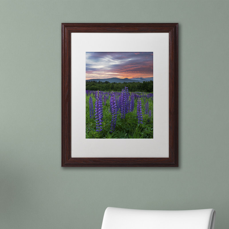 "Fire in the Sky" par Michael Blanchette, reproduction de photo encadrée, H 14 po x l 11 po x P 0,5 po, Cadre brun