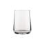 Eugenia Drinking Glass