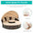Alleshia 64.1" Wide Outdoor Wicker Round Patio Daybed with Cushions-86754533