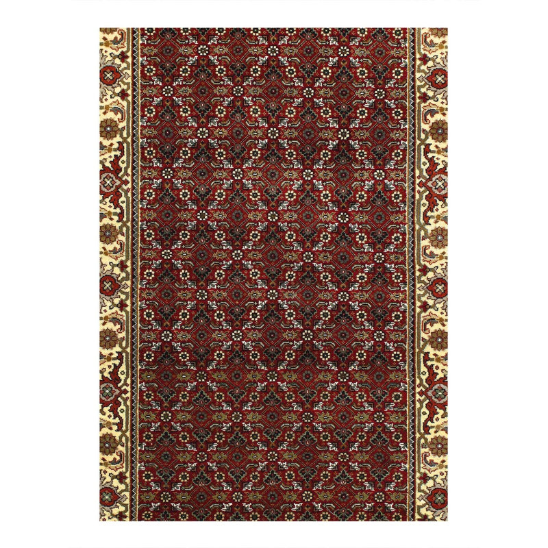 Oriental Indoor Rug