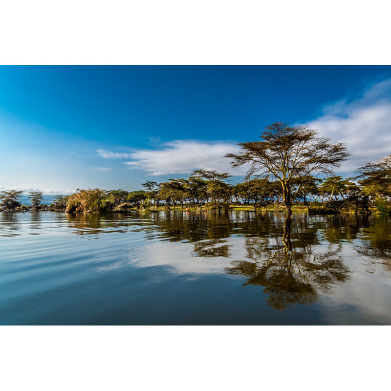 Out Of Africa by JoaoMartinsARC - Wrapped Canvas Print, 30cm H x 46cm W x 3.8cm D