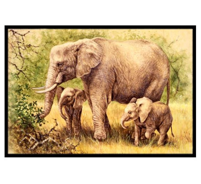 Paillasson d’extérieur antidérapant weissport Elephants