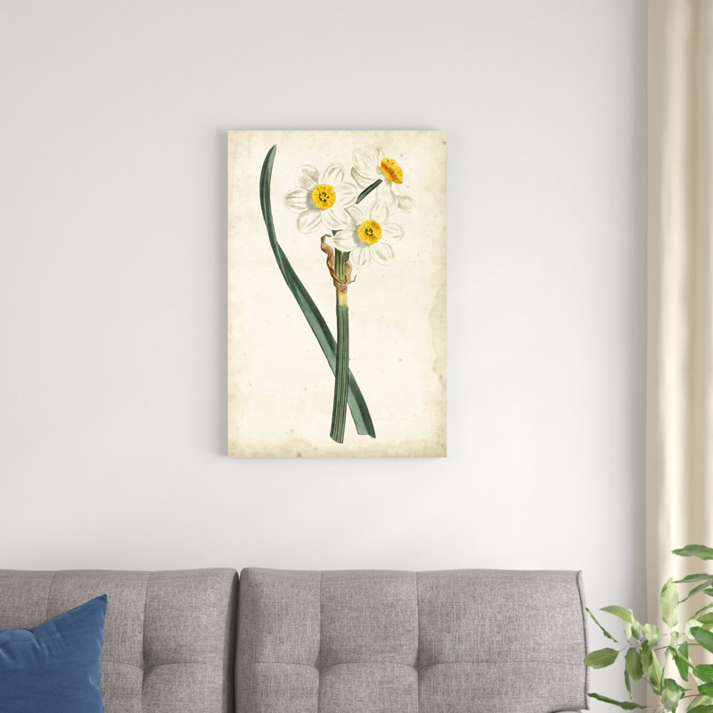 Curtis Narcissus III, H 30 po x l 20 po x P 1,25 po