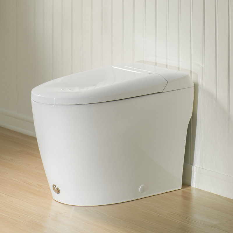 Toilette une pièce, toilette non électrique, White
