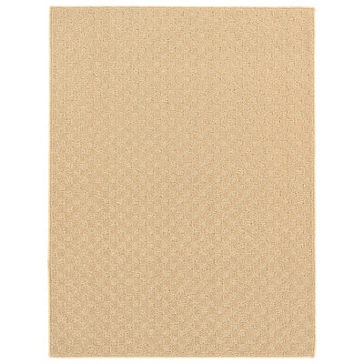 Esther Indoor Rug
