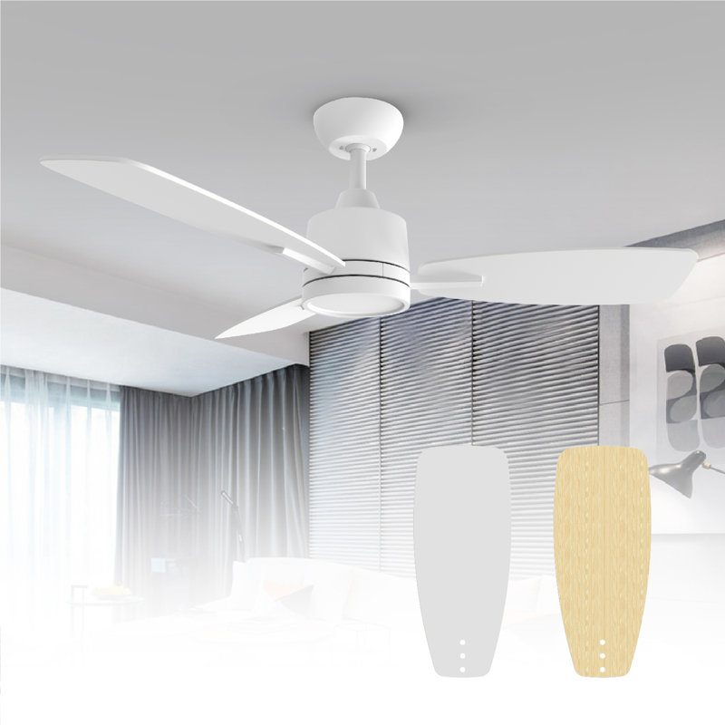 Emidia 42 inch Standard Ceiling Fan with LED Lights Indoor, White, 42"