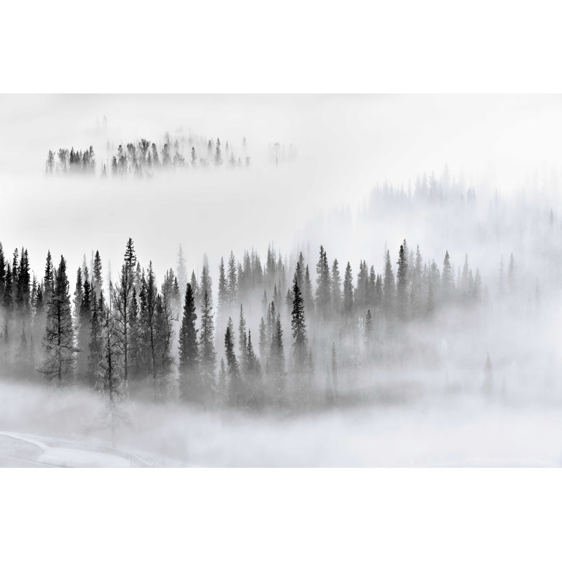 Wadkins Xu - Foggy Forest - impression sur toile tendue, H 24 po x l 36 po