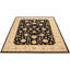 Tapis en laine noir/beige 8 pi 1 po x 9 pi 10 po à la main one-of-kind-noué la 2010 chobi Adrija