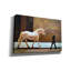  'The Exception Proves The Rule' by Keith Thomson Canvas Wall Art, 40" x 26"-672443463