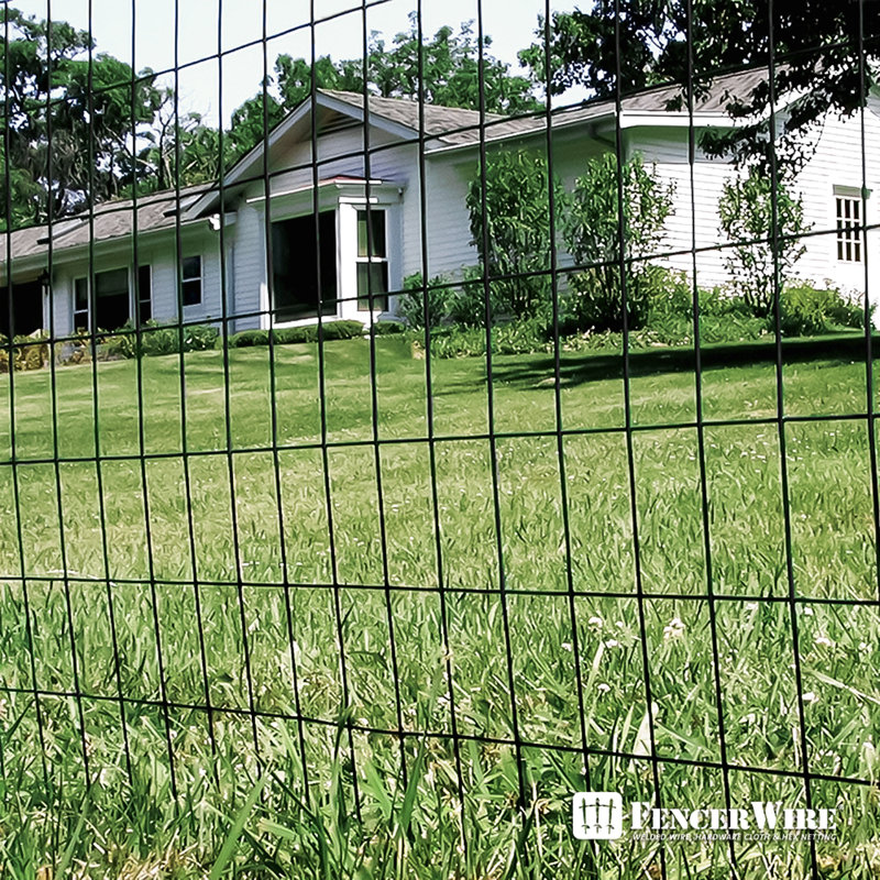 2 ft. x 50 ft. Black Vinyl Coated Welded Wire Fence