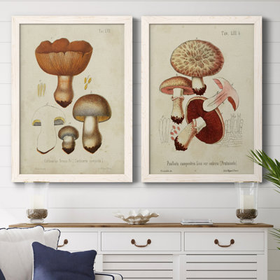 " Mushroom Varieties I " 2 - Pieces