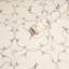 Schumacher X Backdrop Broderie Wallpaper-2088955978