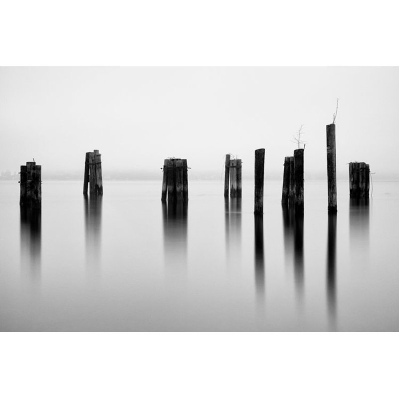 Pilings, Puget Sound Print by Bisig, Steve, 32'' H x 48'' W, Gray Single Picture Framed