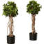76.2cm Faux Ivy Topiary in Pot Liner