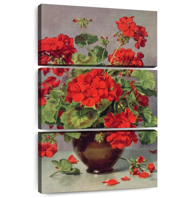 Harnek Geranium In An Earthenware Vase