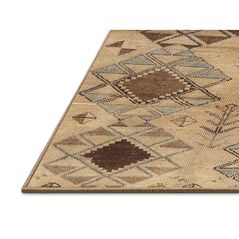 Alisma Southwestern Indoor Rug, Rectangle 2' x 4'