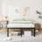 Amylia Heavy Duty 16"  Black Metal Bed Frame, No Box Spring Needed and Easy Assembly Platform Bed-715560967