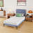 Alwyn Home Meridianville Medium Memory Foam Mattress-680202129-728478455