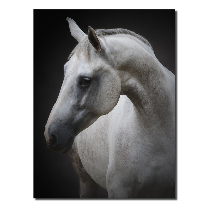 " Maggie " by Avishai Avivi, 16" H x 12" W x 1" D