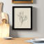 Line Drawn Flowers 1 by Border Bloom - Picture Frame Art-1428647277-1428647278