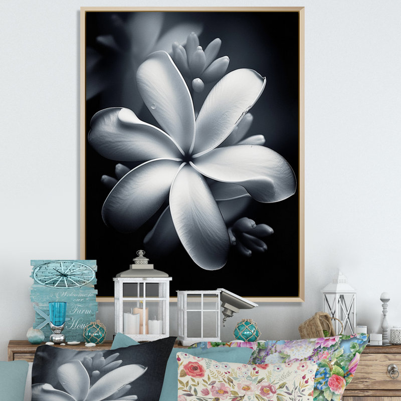 Blanc et noir exotique Plumeria Bloom II, Cadre naturel flottant, H 32 po x l 16 po x P 1 po