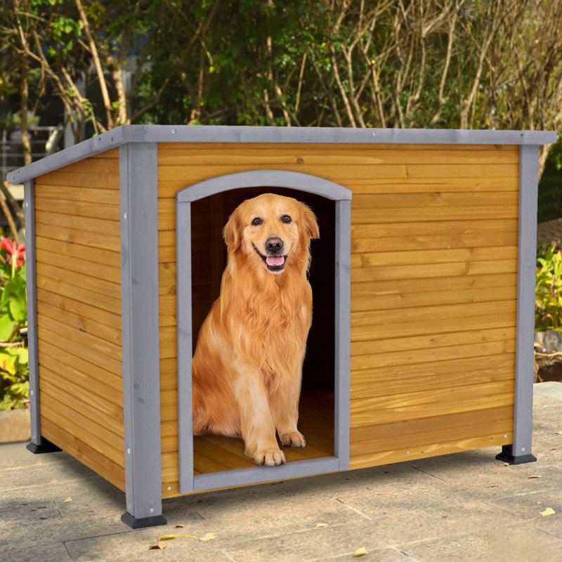 Dog Shelter Bunnings Diy Dog Kennel Pet Enclosure Bunnings Dog