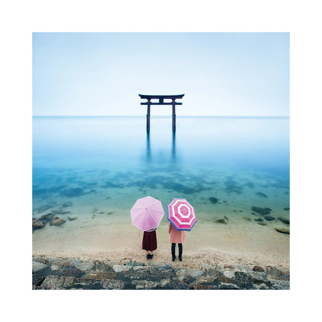 Torii Gate At Lake Biwa, Japan