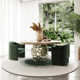 Kidman Velvet Upholstered Arm Chair