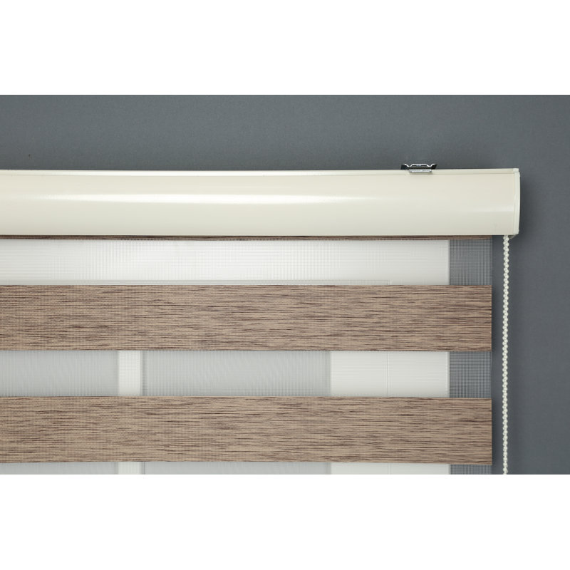 Store zébré Shadesu pour fenêtres, l 26 po x H 72 po, brun, abat-jour zébré à double couche sans contrôle, contrôle de la lumière pour le jour et la nuit, stores transparents pour fenêtres d'intérieur, chambre à coucher, cuisine